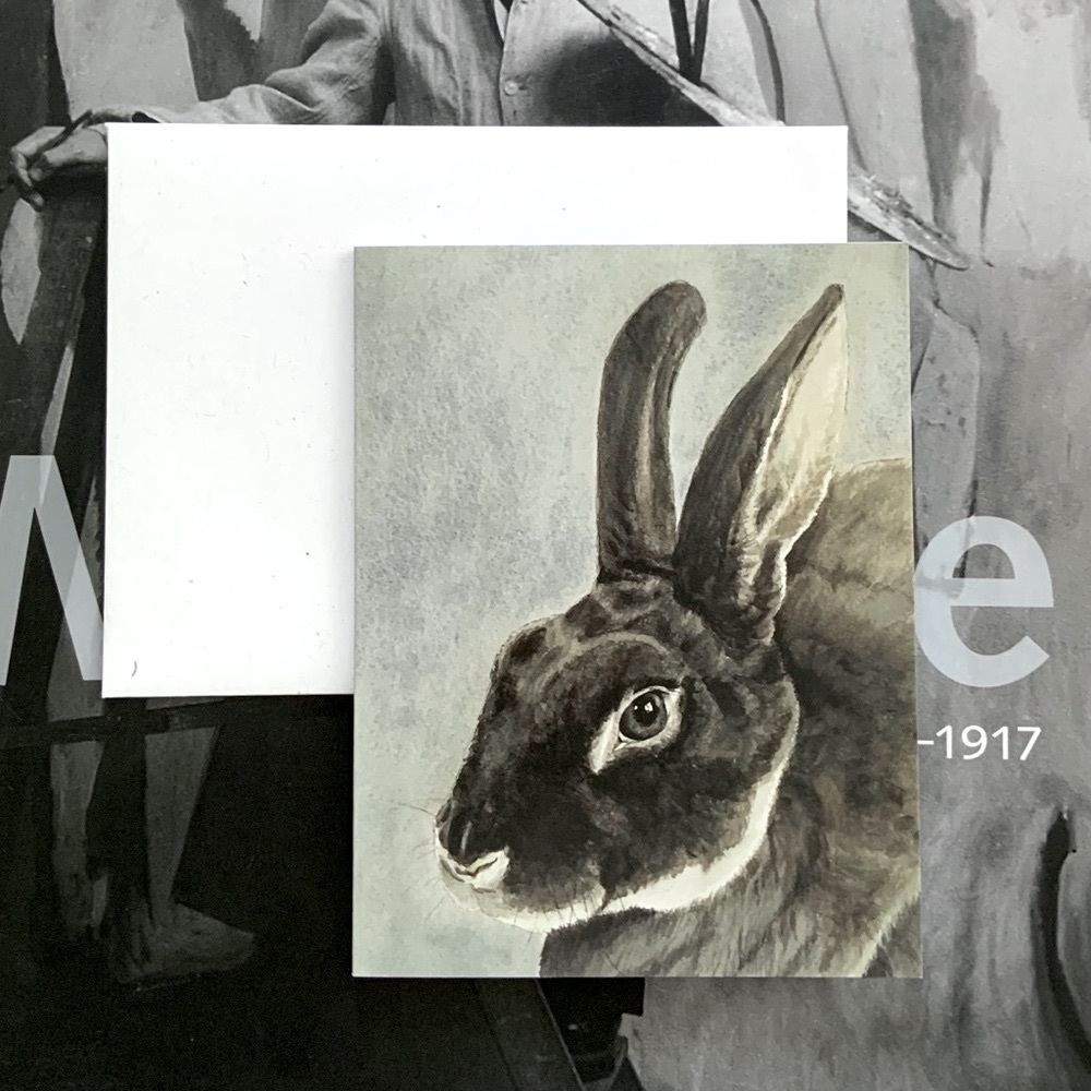 Boxed Set of 6 Note Cards Painted Gray Rabbit